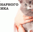 И знания, и добрых рук тепло - Газета Солигаличские вести