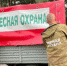 В Костромской области введены дополнительные меры пожарной безопасности в лесах - Газета Солигаличские вести