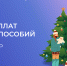 Отделение СФР по Костромской области досрочно выплатит детские пособия за декабрь - Солигаличский муниципальный округ