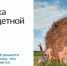 От регистрации ребенка до оформления материнского капитала - Газета Солигаличские вести